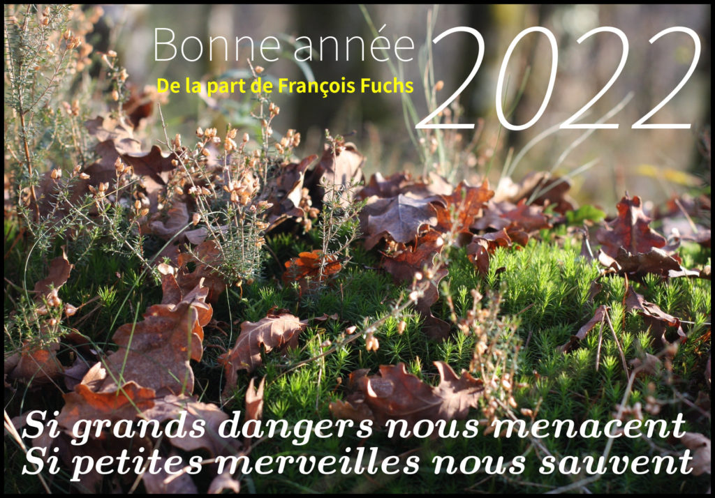 Bonne année 2022