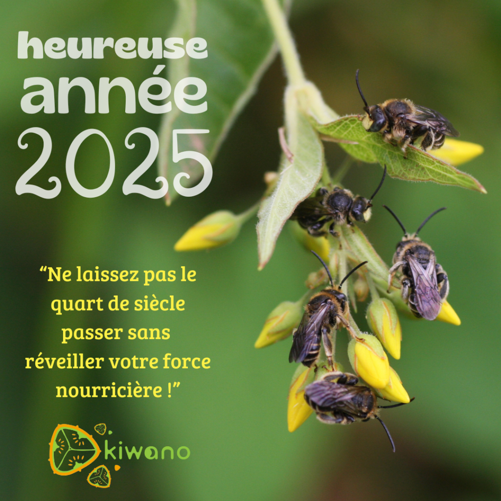 Heureuse année 2025, avec la force nourricière et le Projet Kiwano